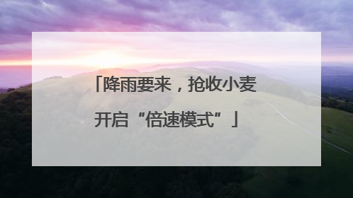 降雨要来，抢收小麦开启“倍速模式”