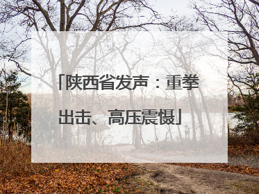 陕西省发声：重拳出击、高压震慑