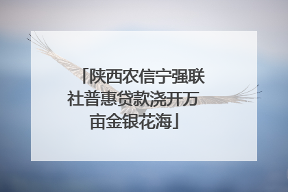 陕西农信宁强联社普惠贷款浇开万亩金银花海
