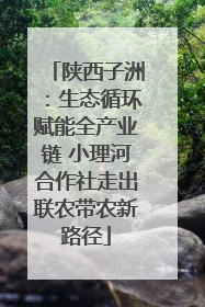 陕西子洲：生态循环赋能全产业链 小理河合作社走出联农带农新路径