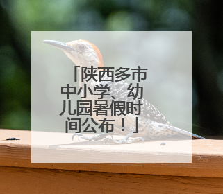 陕西多市中小学、幼儿园暑假时间公布！