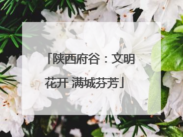 陕西府谷：文明花开 满城芬芳