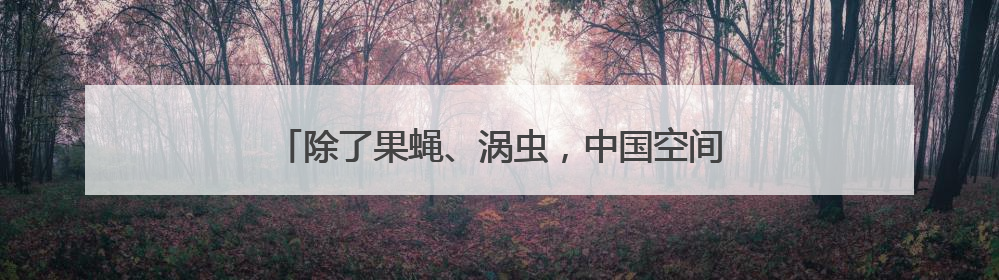 除了果蝇、涡虫，中国空间站还有哪些“动物航天员”