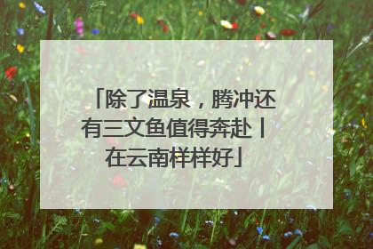 除了温泉，腾冲还有三文鱼值得奔赴丨在云南样样好