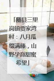 随县三里岗镇贾家湾村：八月瓜缀满藤，山野孕育甜蜜希望