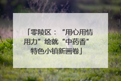 零陵区：“用心用情用力”绘就“中药香”特色小镇新画卷