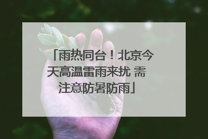 雨热同台！北京今天高温雷雨来扰 需注意防暑防雨