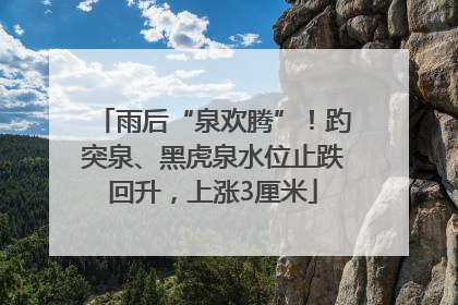 雨后“泉欢腾”！趵突泉、黑虎泉水位止跌回升，上涨3厘米