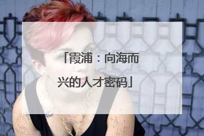 霞浦：向海而兴的人才密码