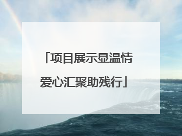 项目展示显温情 爱心汇聚助残行