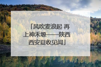 风吹麦浪起 再上神禾塬——陕西西安夏收见闻