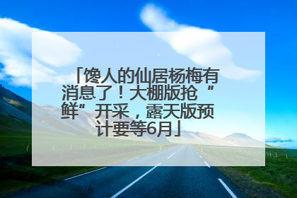 馋人的仙居杨梅有消息了！大棚版抢“鲜”开采，露天版预计要等6月