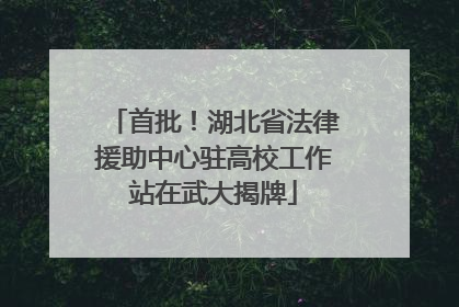 首批！湖北省法律援助中心驻高校工作站在武大揭牌
