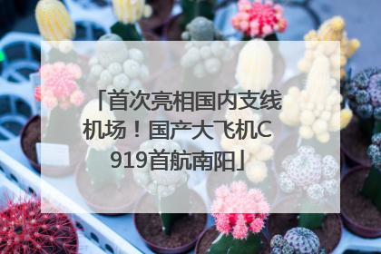 首次亮相国内支线机场！国产大飞机C919首航南阳