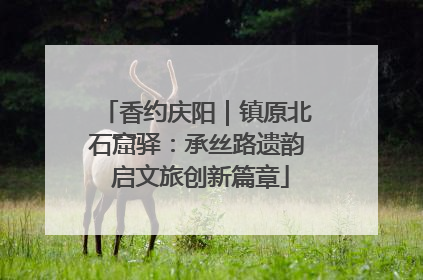 香约庆阳｜镇原北石窟驿：承丝路遗韵 启文旅创新篇章