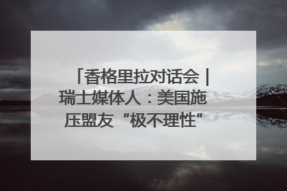 香格里拉对话会｜瑞士媒体人：美国施压盟友“极不理性” 欧洲国家无意与中国“脱钩断链”