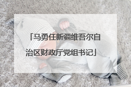 马勇任新疆维吾尔自治区财政厅党组书记