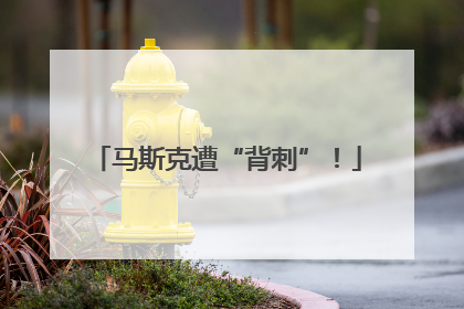 马斯克遭“背刺”！