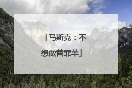 马斯克：不想做替罪羊