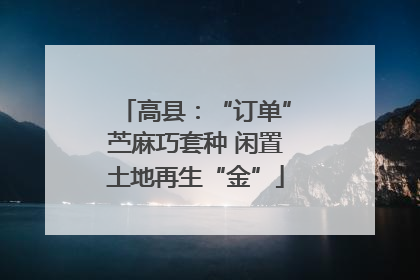 高县：“订单”苎麻巧套种 闲置土地再生“金”