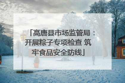 高唐县市场监管局：开展粽子专项检查 筑牢食品安全防线