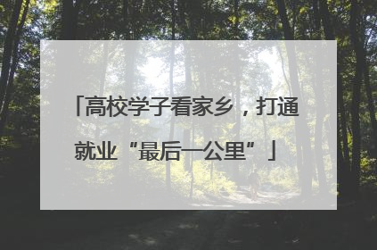 高校学子看家乡，打通就业“最后一公里”
