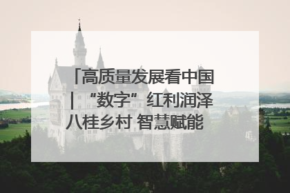 高质量发展看中国｜“数字”红利润泽八桂乡村 智慧赋能绘就振兴画卷