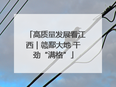 高质量发展看江西｜赣鄱大地 干劲“满格”