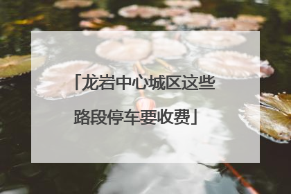龙岩中心城区这些路段停车要收费