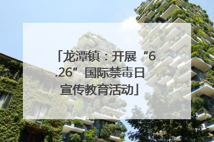龙潭镇：开展“6.26”国际禁毒日宣传教育活动