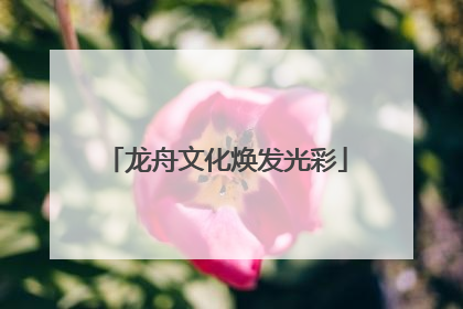 龙舟文化焕发光彩