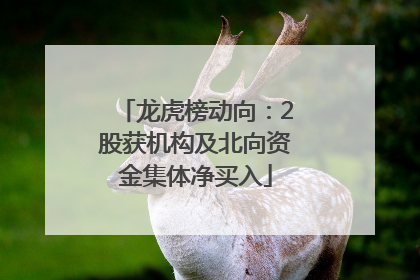 龙虎榜动向：2股获机构及北向资金集体净买入