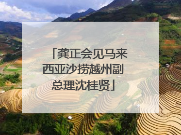 龚正会见马来西亚沙捞越州副总理沈桂贤