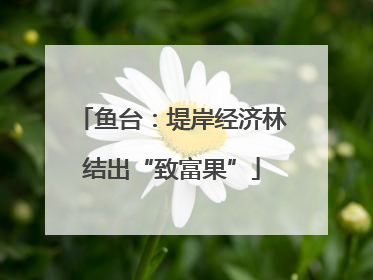 鱼台：堤岸经济林结出“致富果”