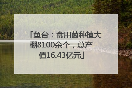 鱼台：食用菌种植大棚8100余个，总产值16.43亿元