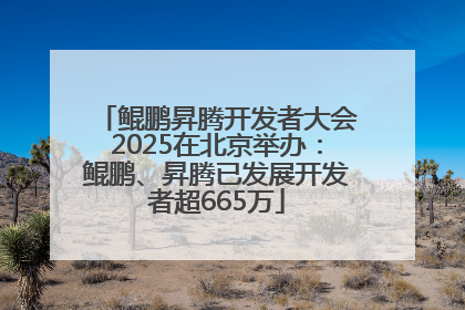 鲲鹏昇腾开发者大会2025在北京举办：鲲鹏、昇腾已发展开发者超665万