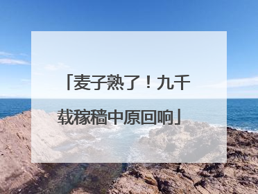 麦子熟了！九千载稼穑中原回响