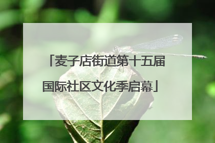 麦子店街道第十五届国际社区文化季启幕