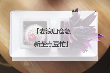 麦浪归仓急 新垄点豆忙