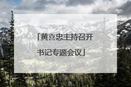 黄喜忠主持召开书记专题会议