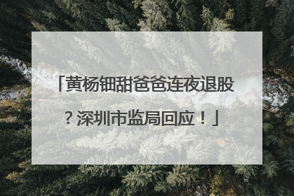 黄杨钿甜爸爸连夜退股？深圳市监局回应！