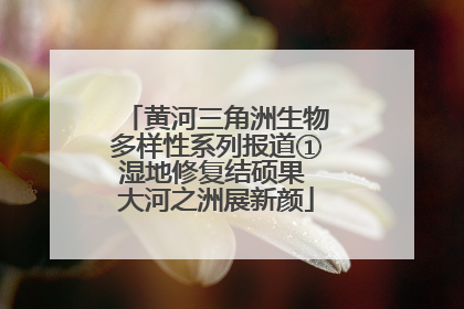 黄河三角洲生物多样性系列报道①湿地修复结硕果 大河之洲展新颜