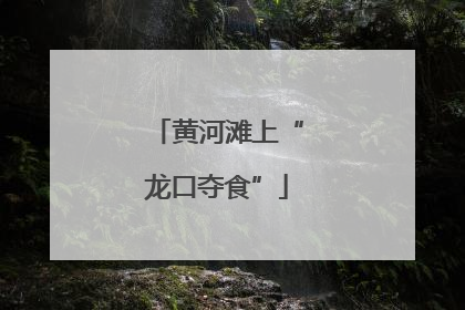 黄河滩上“龙口夺食”