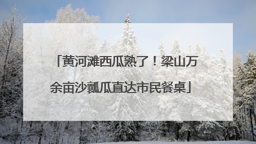 黄河滩西瓜熟了！梁山万余亩沙瓤瓜直达市民餐桌