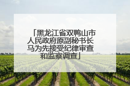 黑龙江省双鸭山市人民政府原副秘书长马为先接受纪律审查和监察调查
