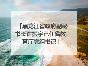 黑龙江省政府副秘书长许振宇已任省教育厅党组书记