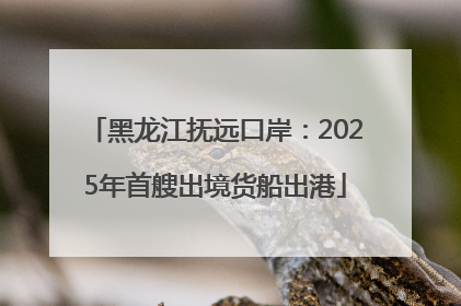 黑龙江抚远口岸：2025年首艘出境货船出港