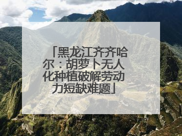 黑龙江齐齐哈尔：胡萝卜无人化种植破解劳动力短缺难题