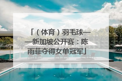 （体育）羽毛球——新加坡公开赛：陈雨菲夺得女单冠军