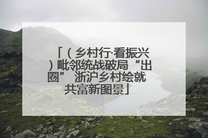 （乡村行·看振兴）毗邻统战破局“出圈” 浙沪乡村绘就共富新图景